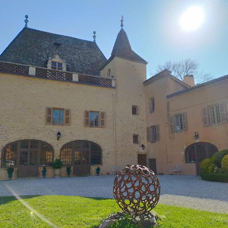 Chateau De La Venerie Denicé Dış mekan fotoğraf