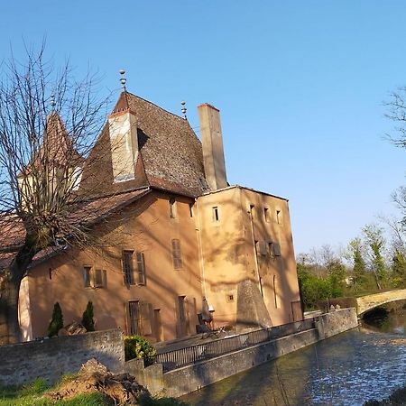 Chateau De La Venerie Denicé Dış mekan fotoğraf