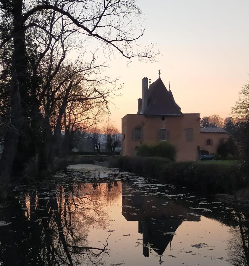 Chateau De La Venerie Denicé Dış mekan fotoğraf
