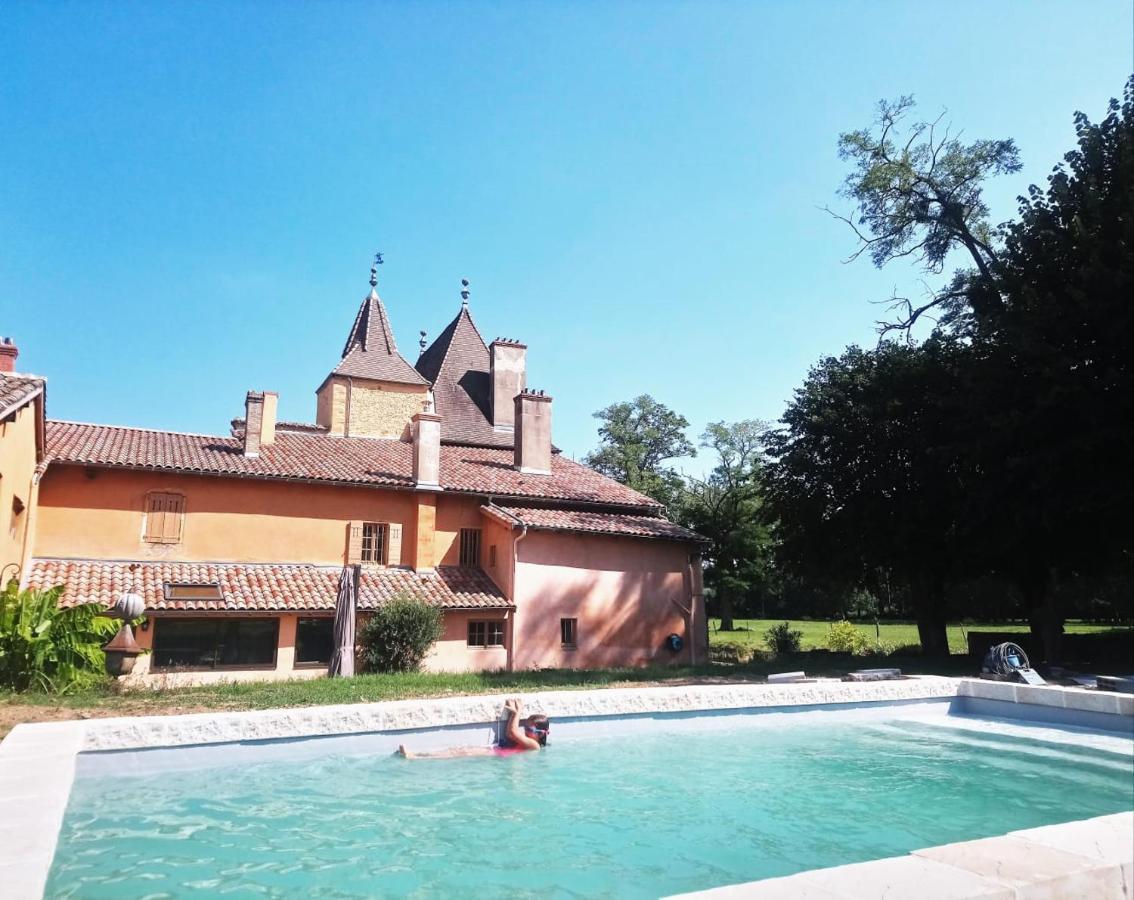 Chateau De La Venerie Denicé Dış mekan fotoğraf