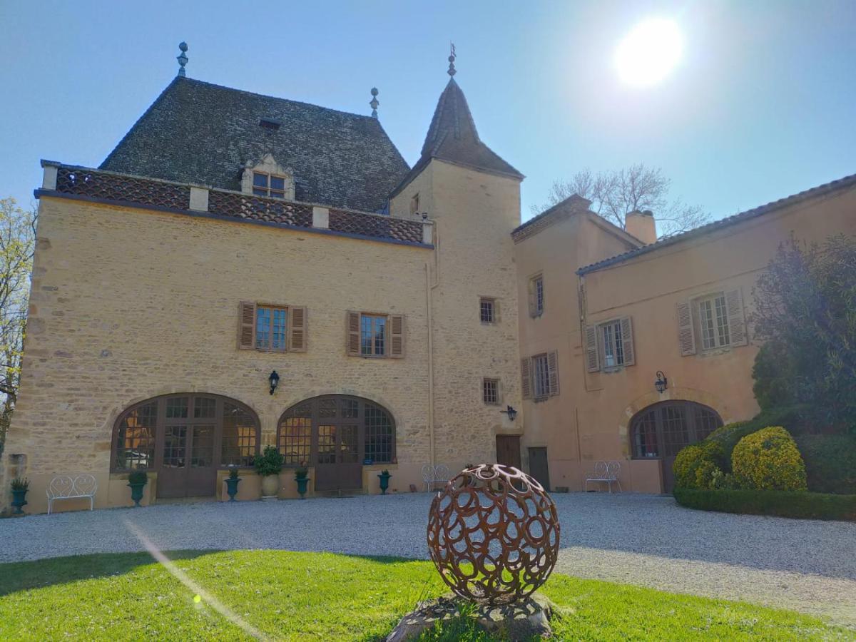 Chateau De La Venerie Denicé Dış mekan fotoğraf