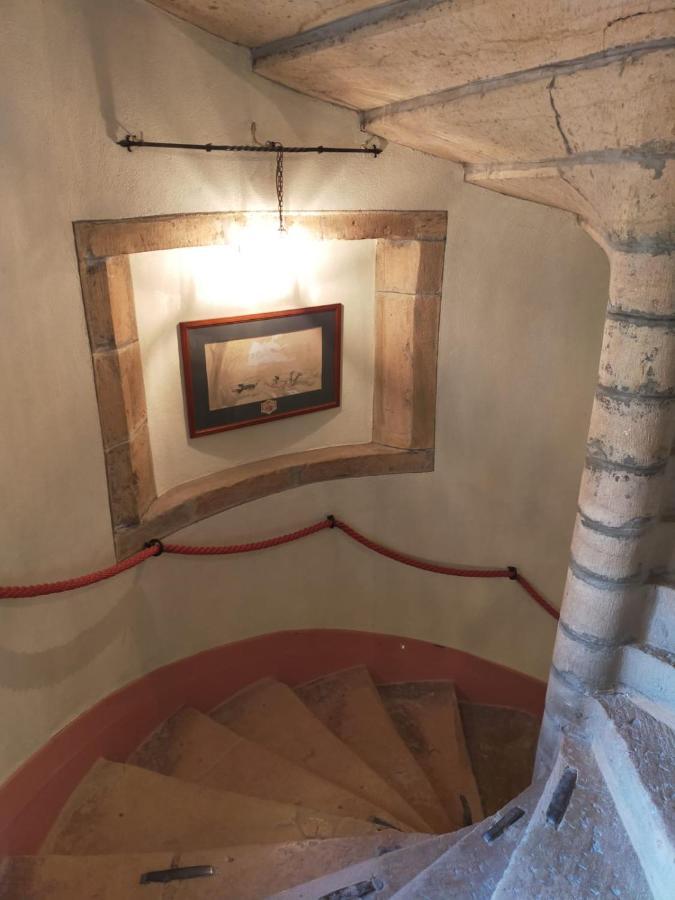 Chateau De La Venerie Denicé Dış mekan fotoğraf