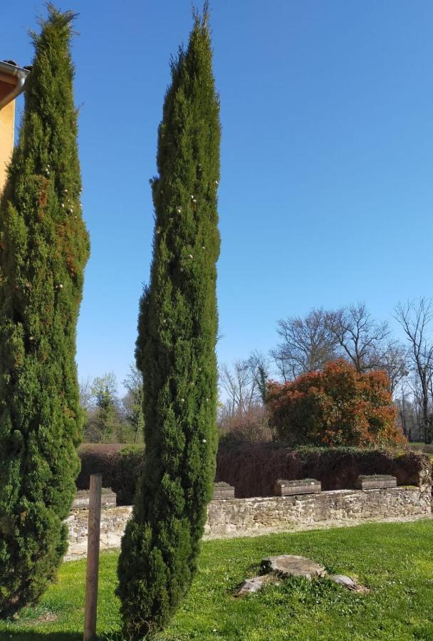Chateau De La Venerie Denicé Dış mekan fotoğraf