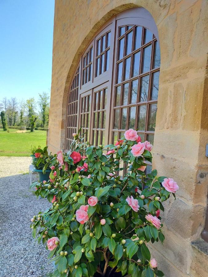 Chateau De La Venerie Denicé Dış mekan fotoğraf