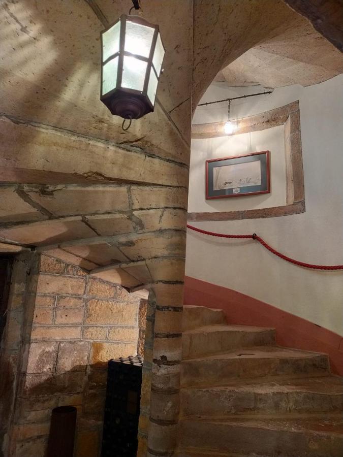 Chateau De La Venerie Denicé Dış mekan fotoğraf