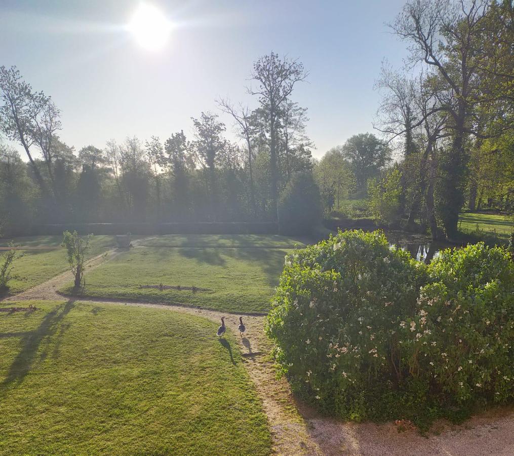 Chateau De La Venerie Denicé Dış mekan fotoğraf