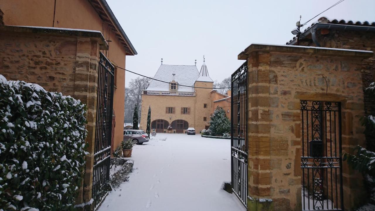 Chateau De La Venerie Denicé Dış mekan fotoğraf