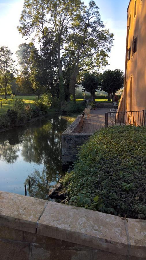 Chateau De La Venerie Denicé Dış mekan fotoğraf