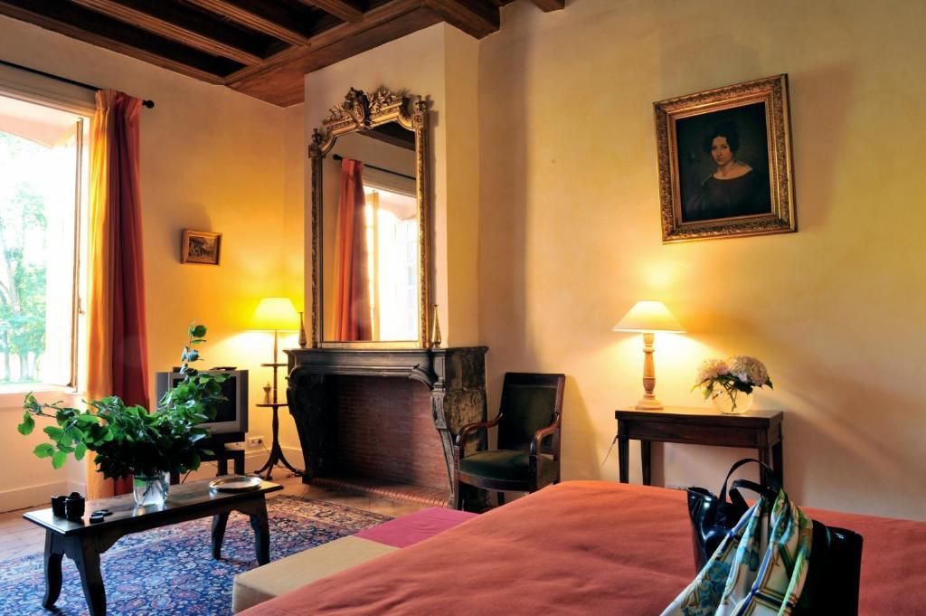 Chateau De La Venerie Denicé Oda fotoğraf